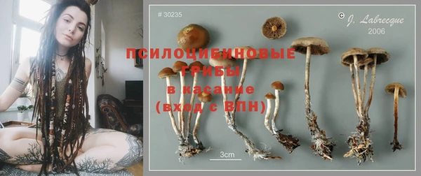 альфа пвп Новозыбков