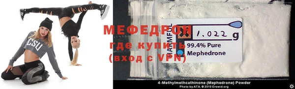 шишки Няндома