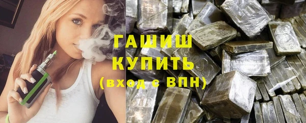 шишки Няндома