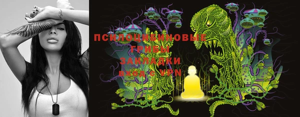 дурь Пересвет
